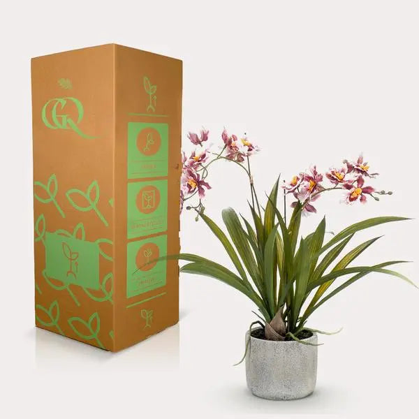 Kunstplant - Orchidee - Bordeaux - 45cm  BotanicBridge