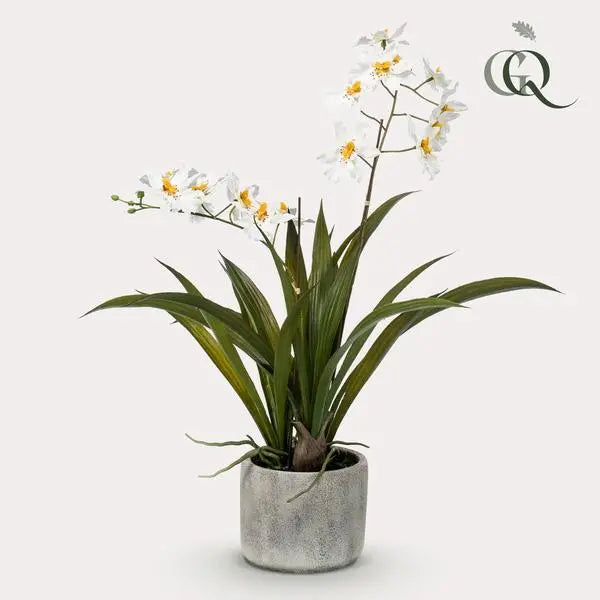 Kunstplant - Orchidee - Wit - 45cm  BotanicBridge