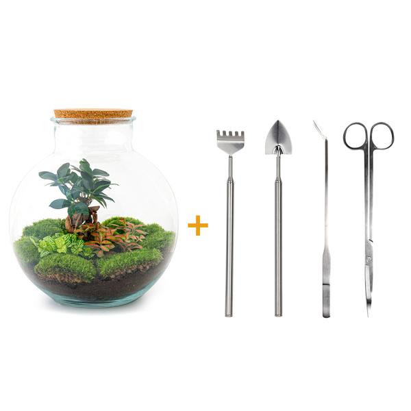 DIY terrarium - Bolder Bob Bonsai - ↕ 30 cm - Rake + Shovel + Tweezer + Scissors  BotanicBridge