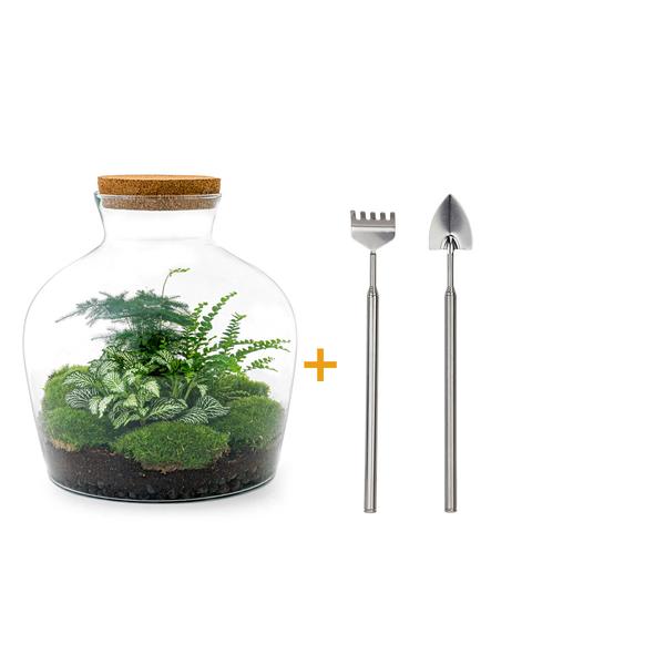 DIY terrarium - Fat Joe Groen - ↕ 30 cm - Rake + Shovel  BotanicBridge