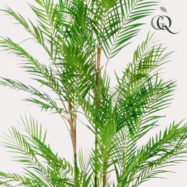 Kunstplant - Chamaedorea Elegans - Bergpalm - 180 cm  BotanicBridge