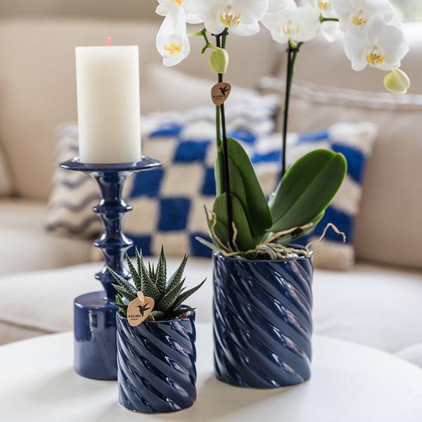 Kolibri Home | Candy sierpot | Hoog - Blue - Ø9cm  BotanicBridge