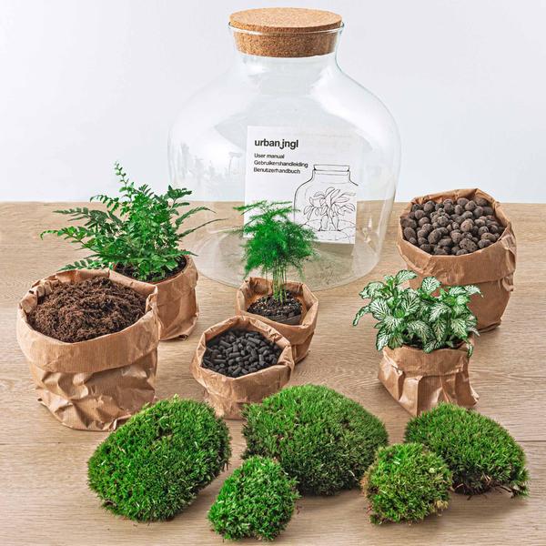 DIY terrarium - Fat Joe Groen - ↕ 30 cm - Rake + Shovel + Tweezer  BotanicBridge