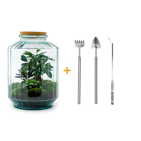 DIY terrarium - Botanical garden XL - ↕ 35 cm - Rake + Shovel + Tweezer  BotanicBridge