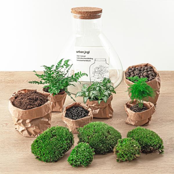 DIY terrarium - Sam XL - ↕ 35 cm - Rake + Shovel + Tweezer + Scissors  BotanicBridge