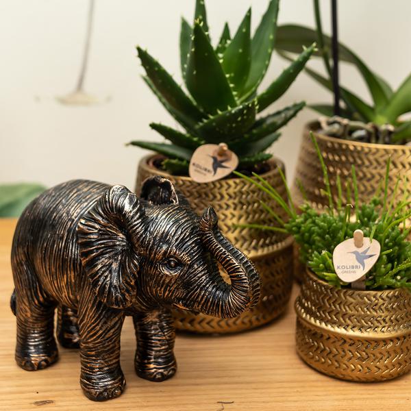 Kolibri Home | Ornament - Decoratie beeld Elephant - Black  BotanicBridge