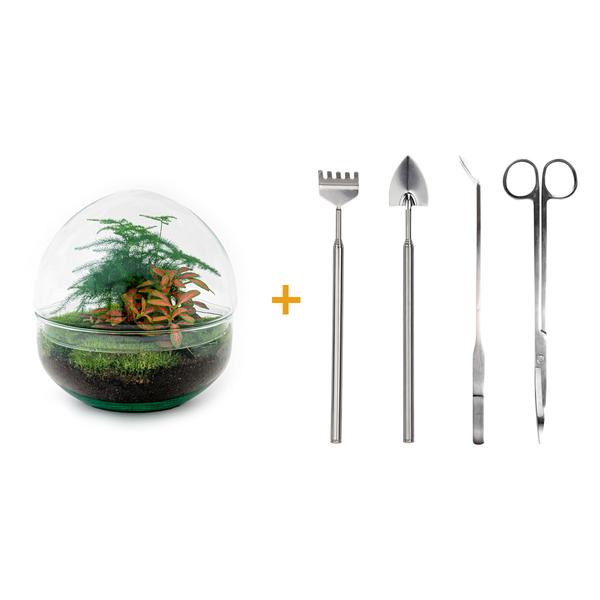 DIY terrarium - Dome Red - ↕ 20 cm - Rake + Shovel + Tweezer + Scissors  BotanicBridge