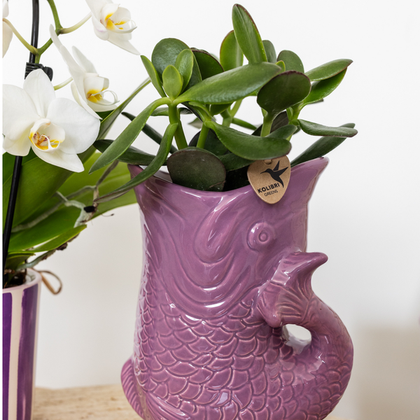 Kolibri Home | Fish  - Lilac - Ø9cm  BotanicBridge