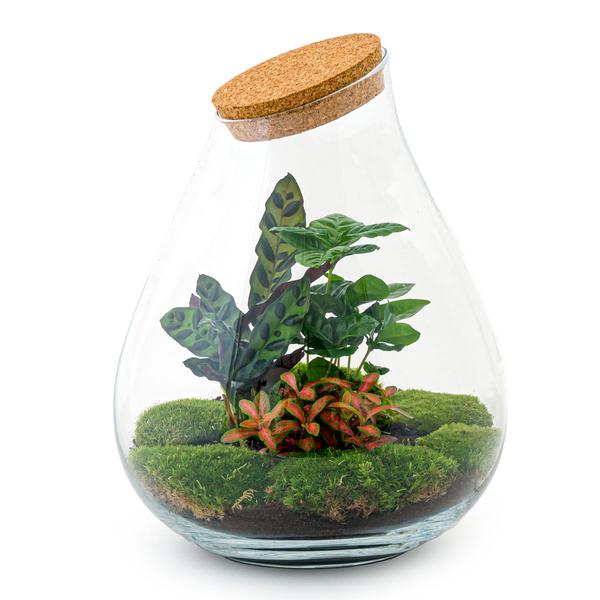 DIY terrarium - Drop XL Rood - ↕ 37 cm - Rake + Shovel + Tweezer  BotanicBridge