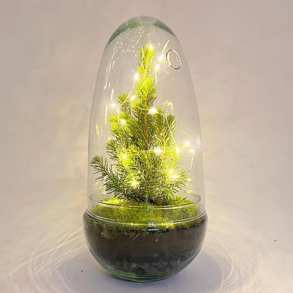 DIY terrarium - Egg Christmas - Kerst decoratie ↕ 25 cm  BotanicBridge