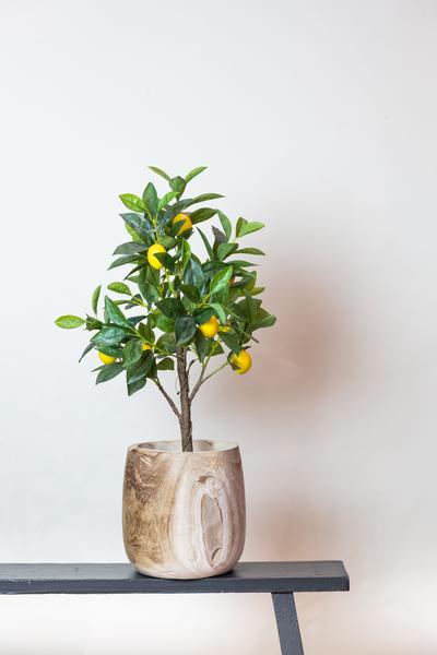 Kunstplant - Citrus Limonia - Citroenboom - 75 cm  BotanicBridge