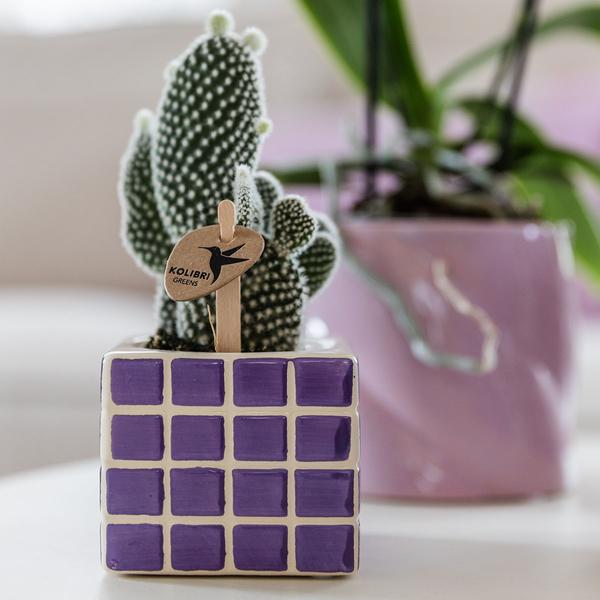 Kolibri Home | Mosa sierpot - Lilac - Ø6cm  BotanicBridge