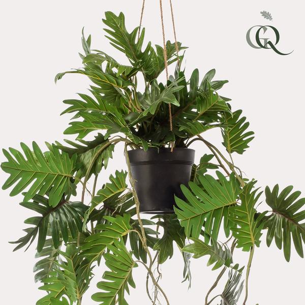 Kunstplant - Philodendron - Klimmende boomliefhebber - 80 cm  BotanicBridge