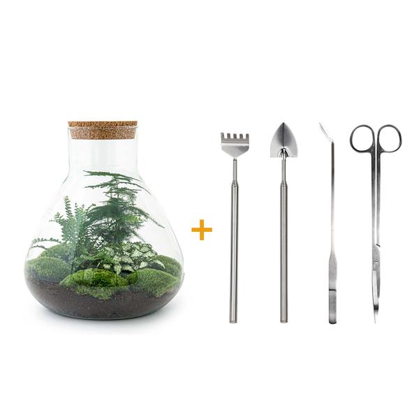 DIY terrarium - Sam XL - ↕ 35 cm - Rake + Shovel + Tweezer + Scissors  BotanicBridge