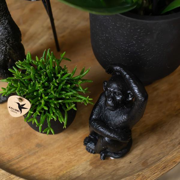 Kolibri Home | Ornament - Decoratie beeld Sitting Monkey - Black  BotanicBridge