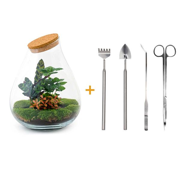 DIY terrarium - Drop XL Rood - ↕ 37 cm - Rake + Shovel + Tweezer + Scissors  BotanicBridge