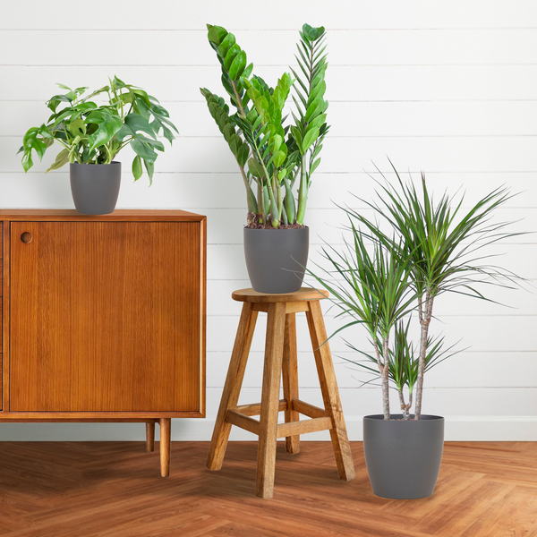 Schaduw Plantenbox - medium - met vibers pot grijs  BotanicBridge