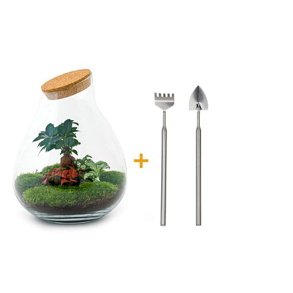 DIY terrarium - Drop XL Bonsai -↕ 37 cm - Rake + Shovel  BotanicBridge