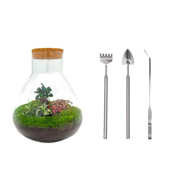 DIY terrarium - Sam XL Bonsai - ↕ 35 cm - Rake + Shovel + Tweezer  BotanicBridge