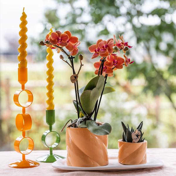 Kolibri Home | Candy sierpot - Peach - Ø6cm  BotanicBridge