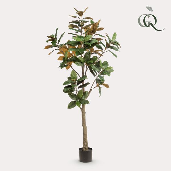 Kunstplant - Magnolia Grandiflora - 180 cm  BotanicBridge