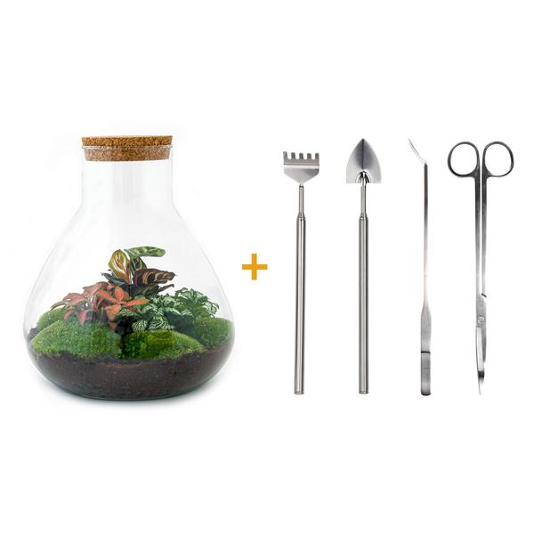 DIY terrarium - Sam XL Rood - ↕ 35 cm - Rake + Shovel + Tweezer + Scissors  BotanicBridge