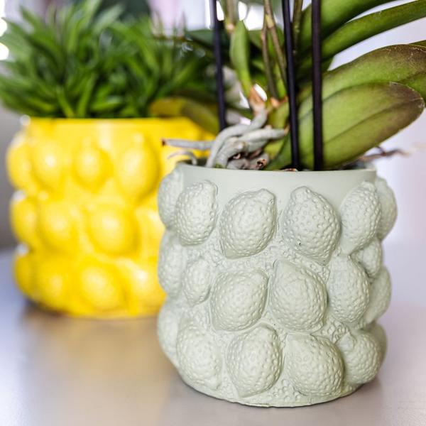 Kolibri Home | Citrus pot groen - Ø6cm  BotanicBridge