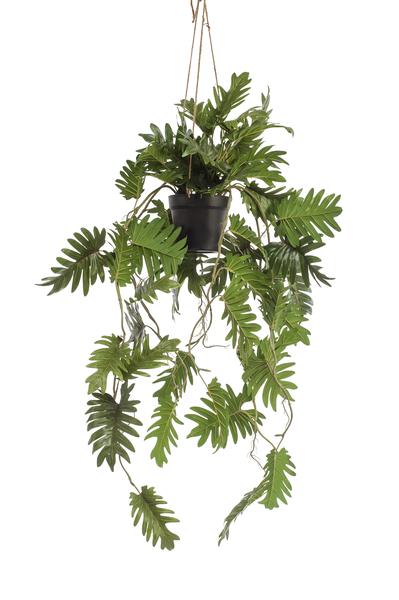 Kunstplant - Philodendron - Klimmende boomliefhebber - 80 cm  BotanicBridge