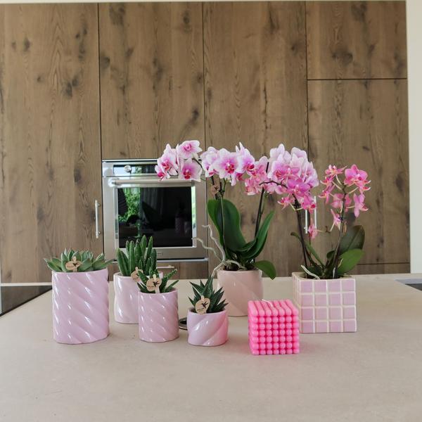 Kolibri Home | Candy sierpot | Hoog - Pink - Ø6cm  BotanicBridge