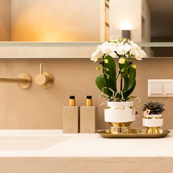 Kolibri Home | Le Chic bloempot - Witte keramieken sierpot met gouden details - Ø9cm  BotanicBridge