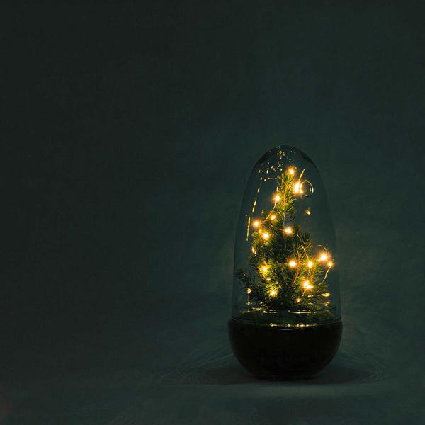 DIY terrarium - Egg Christmas - Kerst decoratie ↕ 25 cm  BotanicBridge