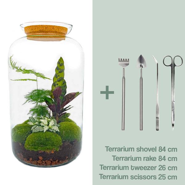 DIY terrarium - Botanical Sven XL - ↕ 43 cm - Normal  BotanicBridge