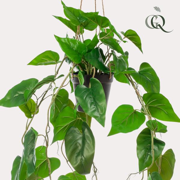 Kunstplant - Philodendron scandens - Klimmende Boomliefhebber - 80 cm  BotanicBridge