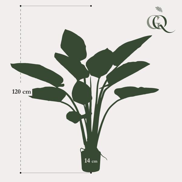 Kunstplant - Philodendron - 120 cm  BotanicBridge