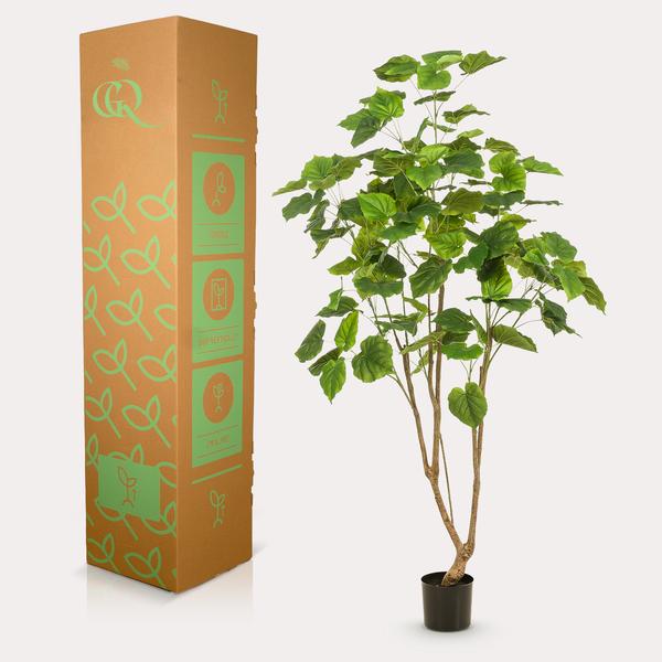 Kunstplant - Ficus umbellate - Afrikaanse vijg - 180cm  BotanicBridge