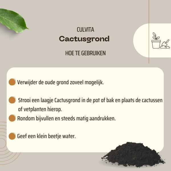 Culvita - Cactusgrond 5 liter - potgrond geschikt voor Cactus en vetplanten  BotanicBridge