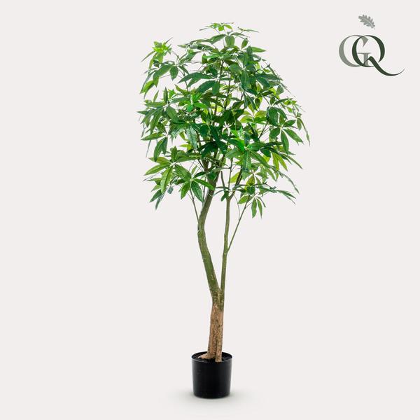 Kunstplant - Pachira Aquatica - Geldboom - 180 cm  BotanicBridge