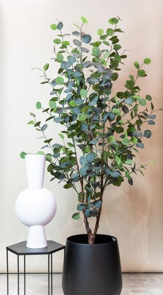 Kunstplant - Eucalyptus - Blauwe Gomboom  - 180 cm  BotanicBridge