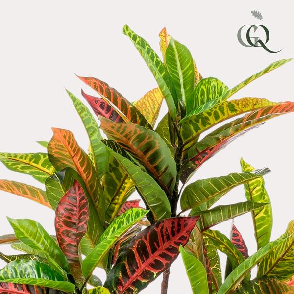 Kunstplant - Croton Codiaeum - Wonderstruik - 100 cm  BotanicBridge