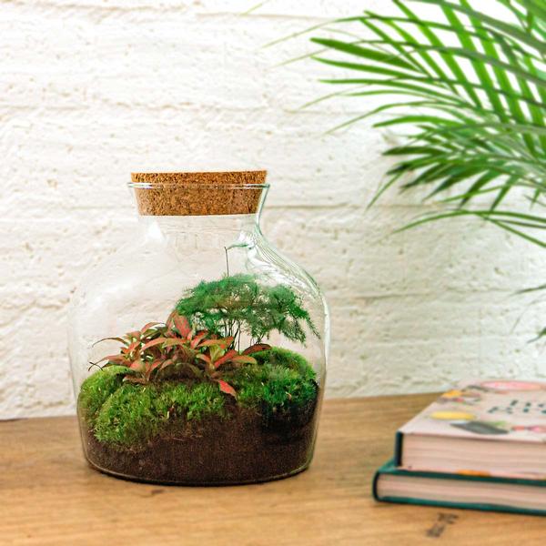 DIY terrarium - Little Joe - ↕ 21,5 cm - Rake + Shovel + Tweezer  BotanicBridge