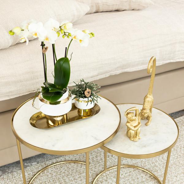 Kolibri Home | Le Chic bloempot - Witte keramieken sierpot met gouden details - Ø9cm  BotanicBridge