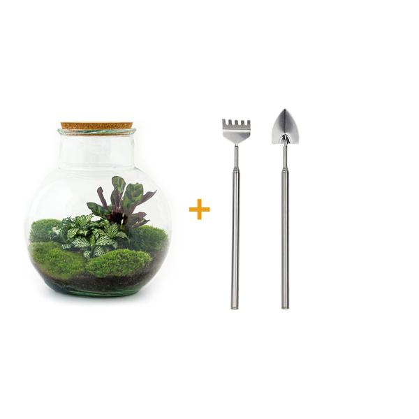 DIY terrarium - Teddy - ↕ 26,5 cm - Rake + Shovel  BotanicBridge