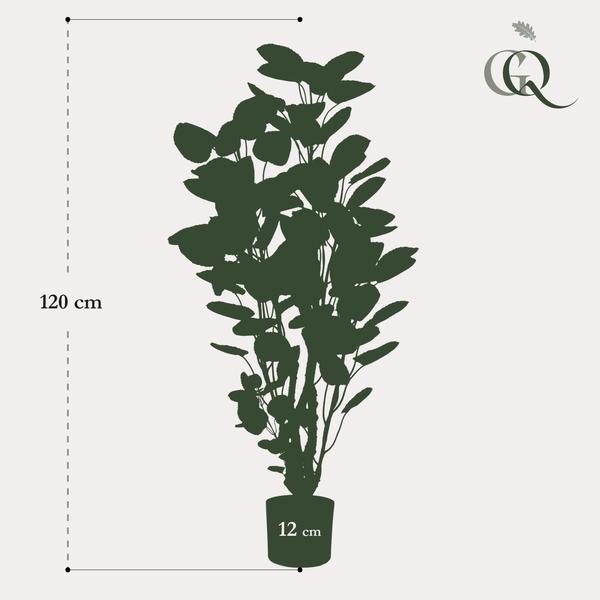 Kunstplant - Polyscias - Aralia - 105 cm  BotanicBridge