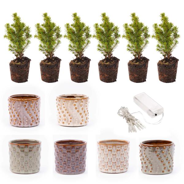 Mini-kerstboom set 6 - Inclusief pot set Madrid + 20 led lights  BotanicBridge