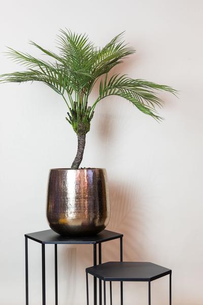 Kunstplant - Chamaedorea - Bergpalm - 85 cm  BotanicBridge