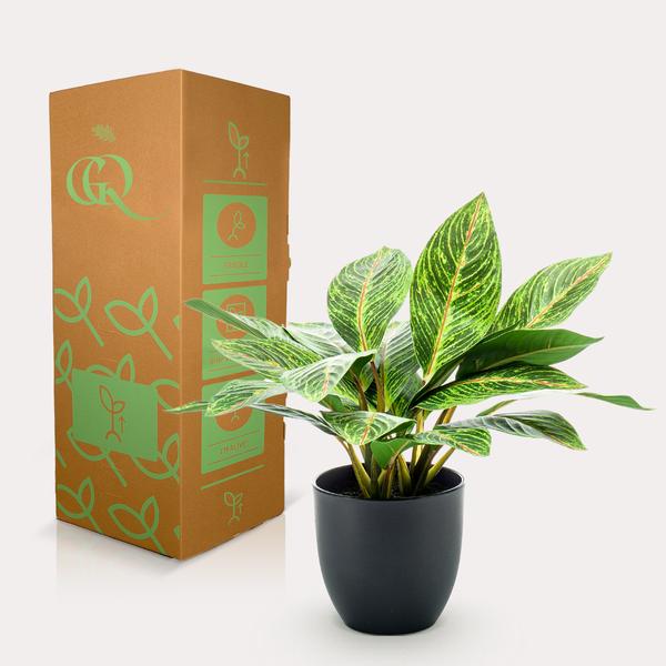 Kunstplant - Croton Codiaeum - Wonderstruik - 38 cm  BotanicBridge