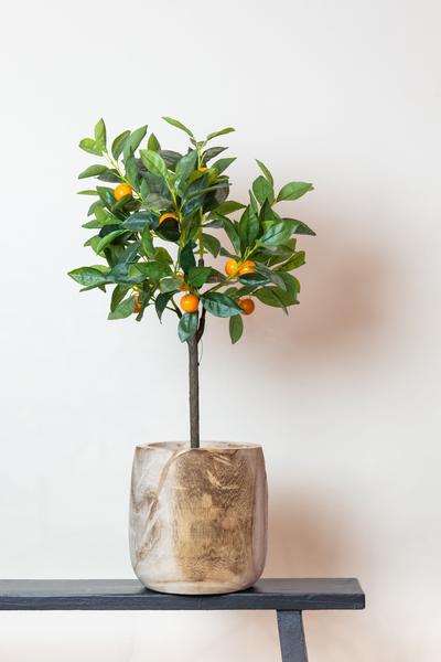 Kunstplant - Citrus Sinensis - Sinaasappelboom - 75 cm  BotanicBridge