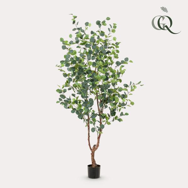 Kunstplant - Eucalyptus - Blauwe Gomboom  - 180 cm  BotanicBridge