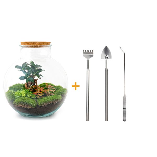 DIY terrarium - Bolder Bob Bonsai - ↕ 30 cm - Rake + Shovel + Tweezer  BotanicBridge