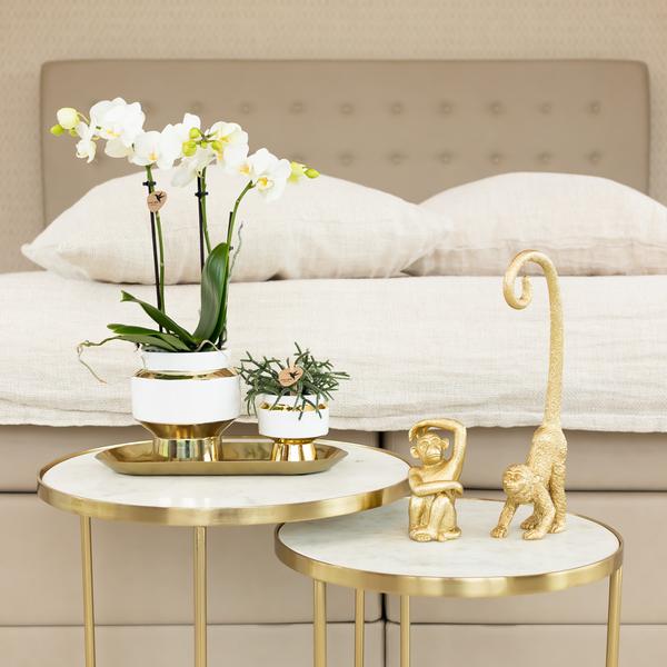 Kolibri Home | Le Chic bloempot - Witte keramieken sierpot met gouden details - Ø9cm  BotanicBridge